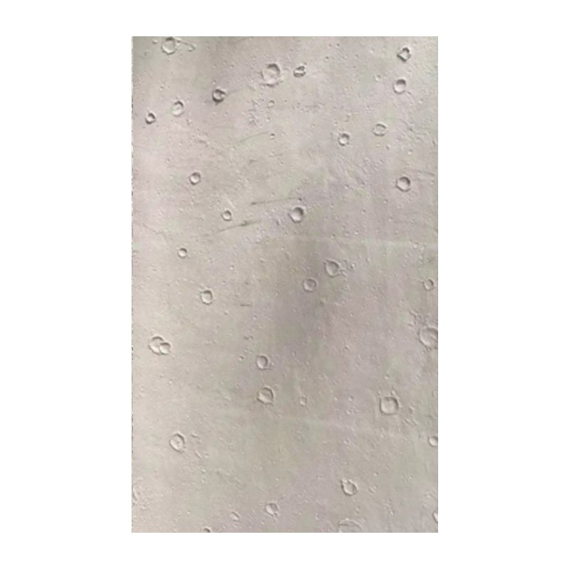 SFRPA09 SFRPA09